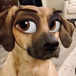 Meet your Posher, Chelsea